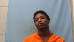 Mugshot of NORRIS, DALEN