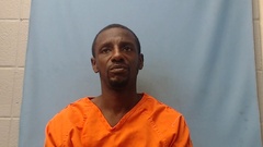 Mugshot of DAVIS, TRACY