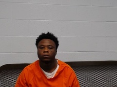 Mugshot of NAUDEN, DARION