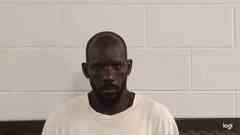Mugshot of NELSON, XZAVIER